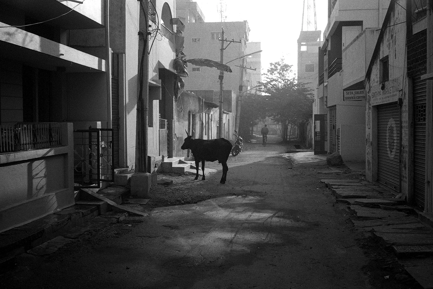 36.DYLAN_DEMARCHI_INDIA.jpg