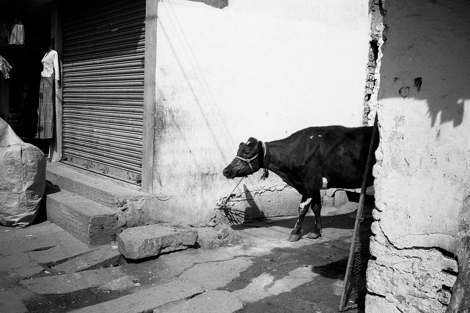 38.DYLAN_DEMARCHI_INDIA.jpg