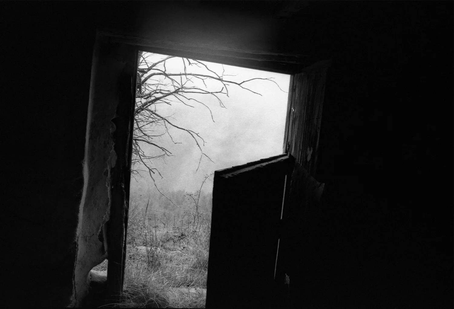 DYLAN_DEMARCHI_car.30.11.jpg