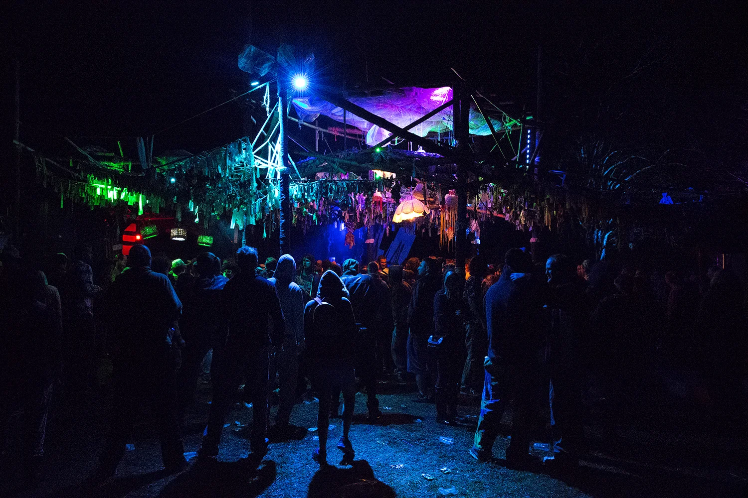 14.DYLAN_DEMARCHI_LIVE_MUSIC.jpg