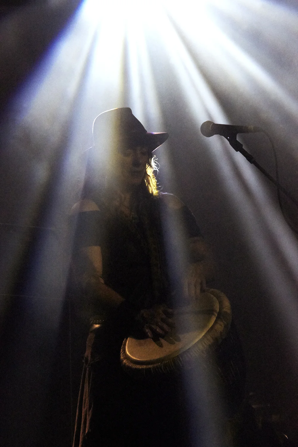 20.DYLAN_DEMARCHI_LIVE_MUSIC.jpg
