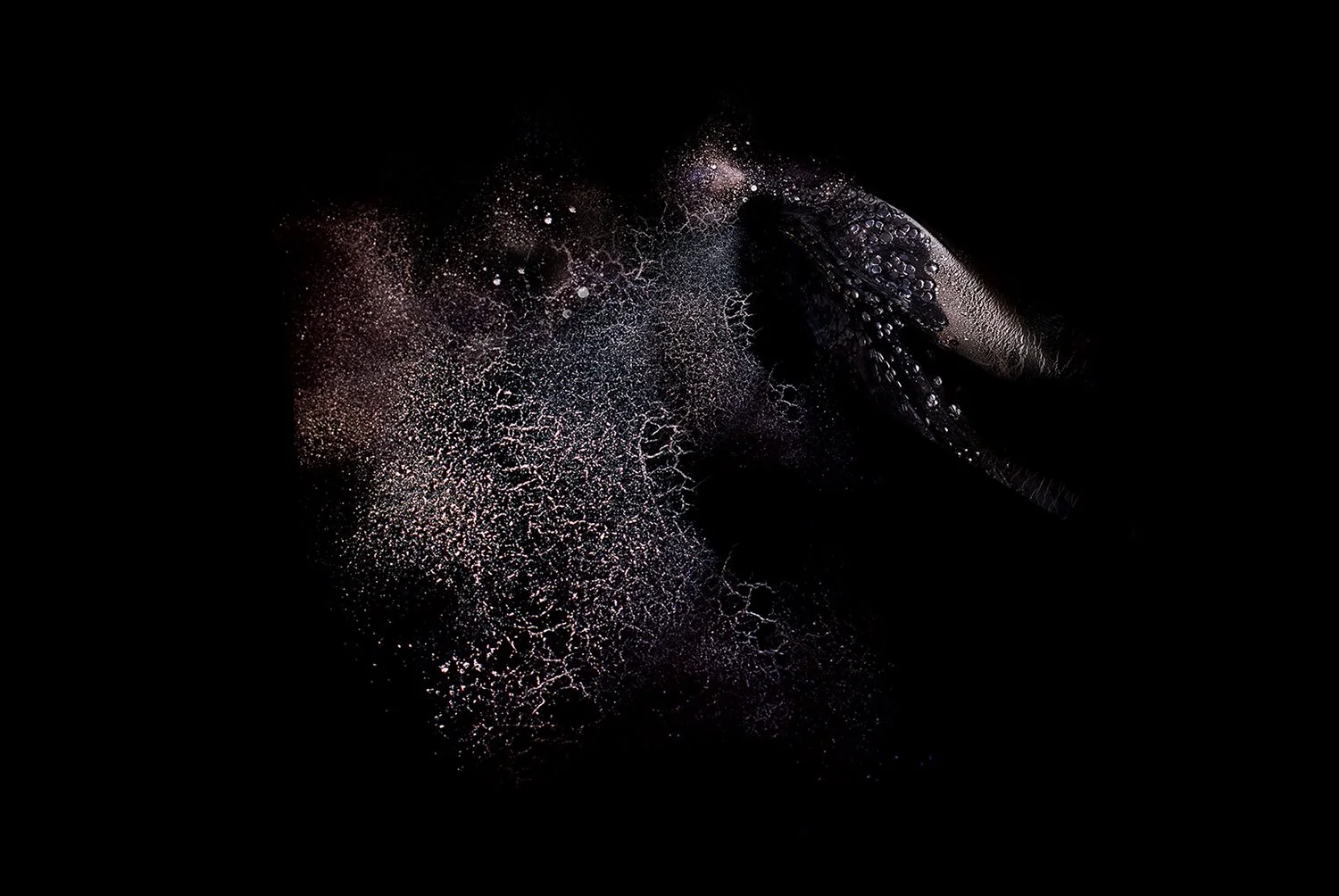 DEMARCHI_NEBULA_3.jpg