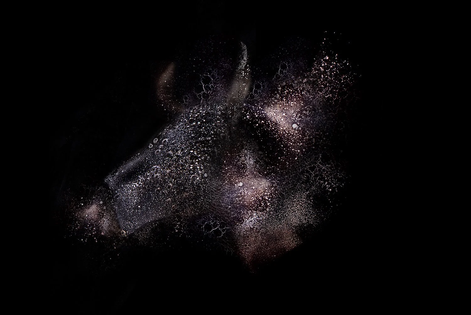 DEMARCHI_NEBULA_6.jpg