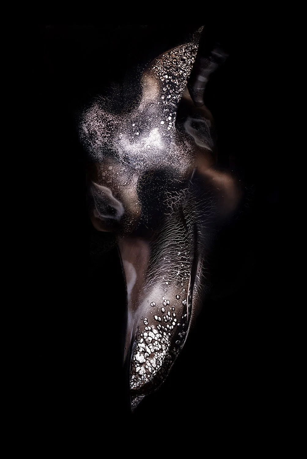 DEMARCHI_NEBULA_7.jpg