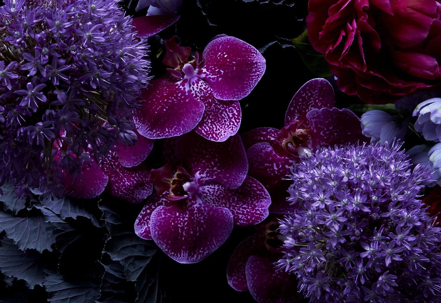 10_DYLAN_DEMARCHI_flowers.jpg