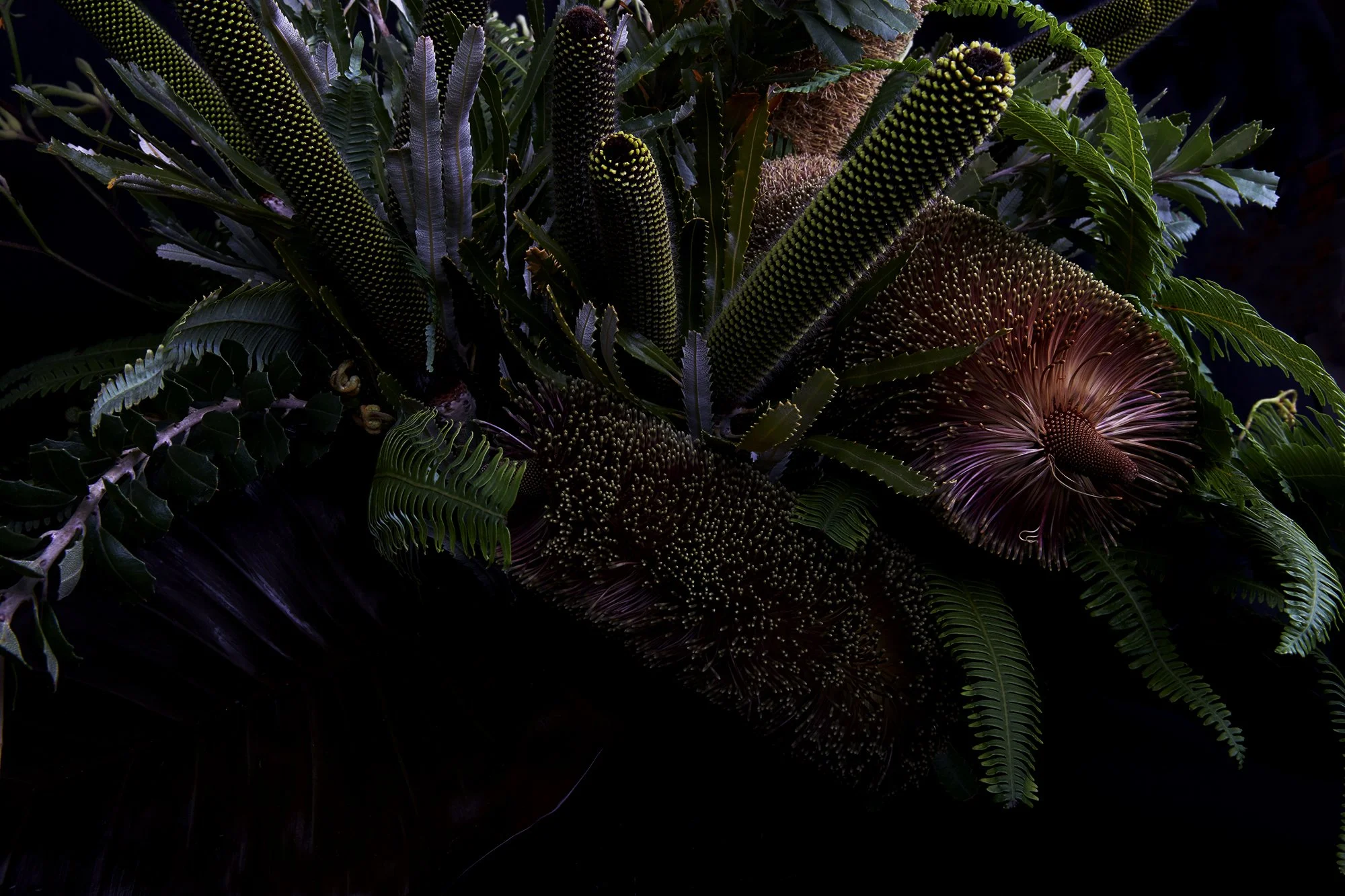 18_DYLAN_DEMARCHI_flowers.jpg