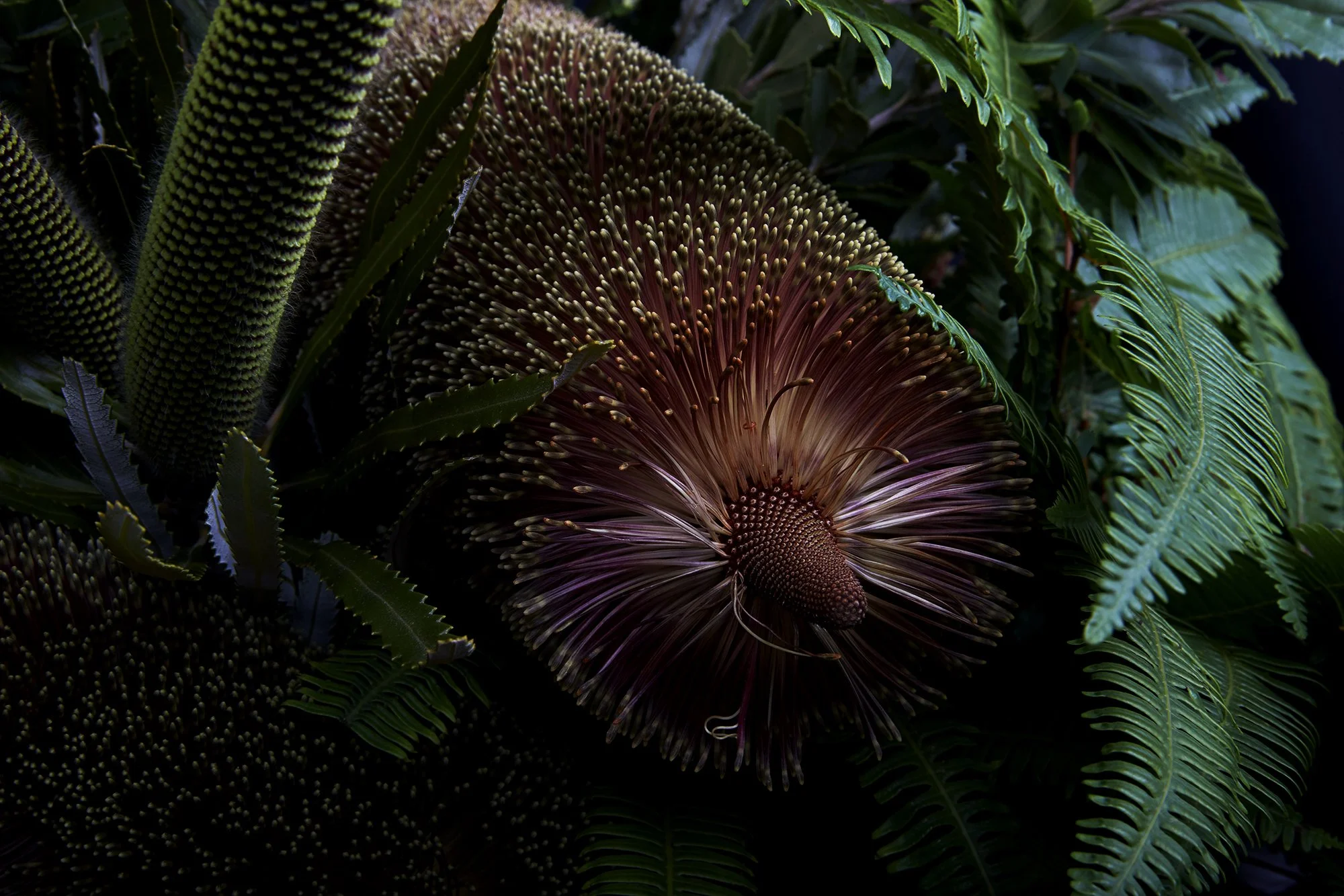 17_DYLAN_DEMARCHI_flowers.jpg