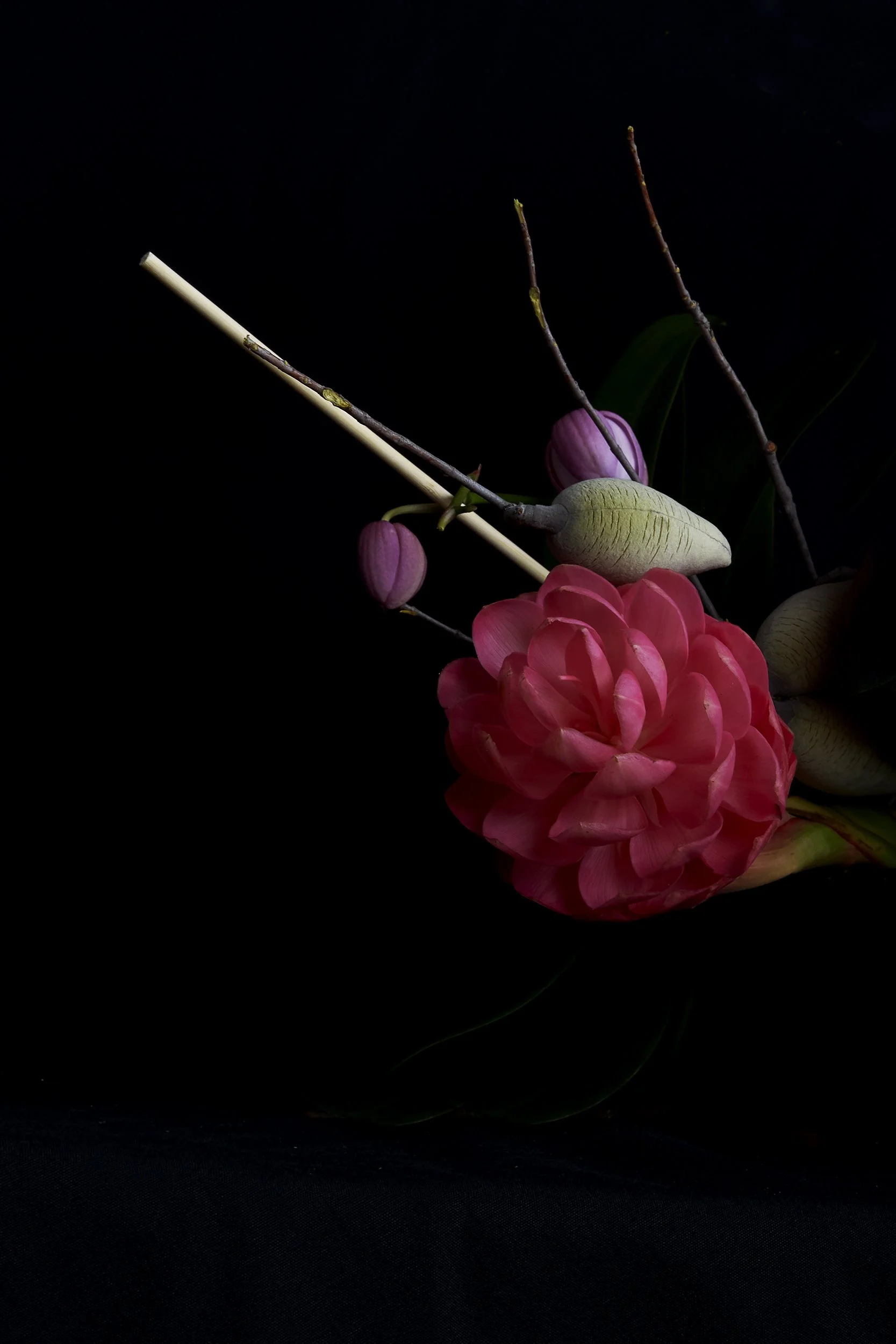 19_DYLAN_DEMARCHI_flowers.jpg