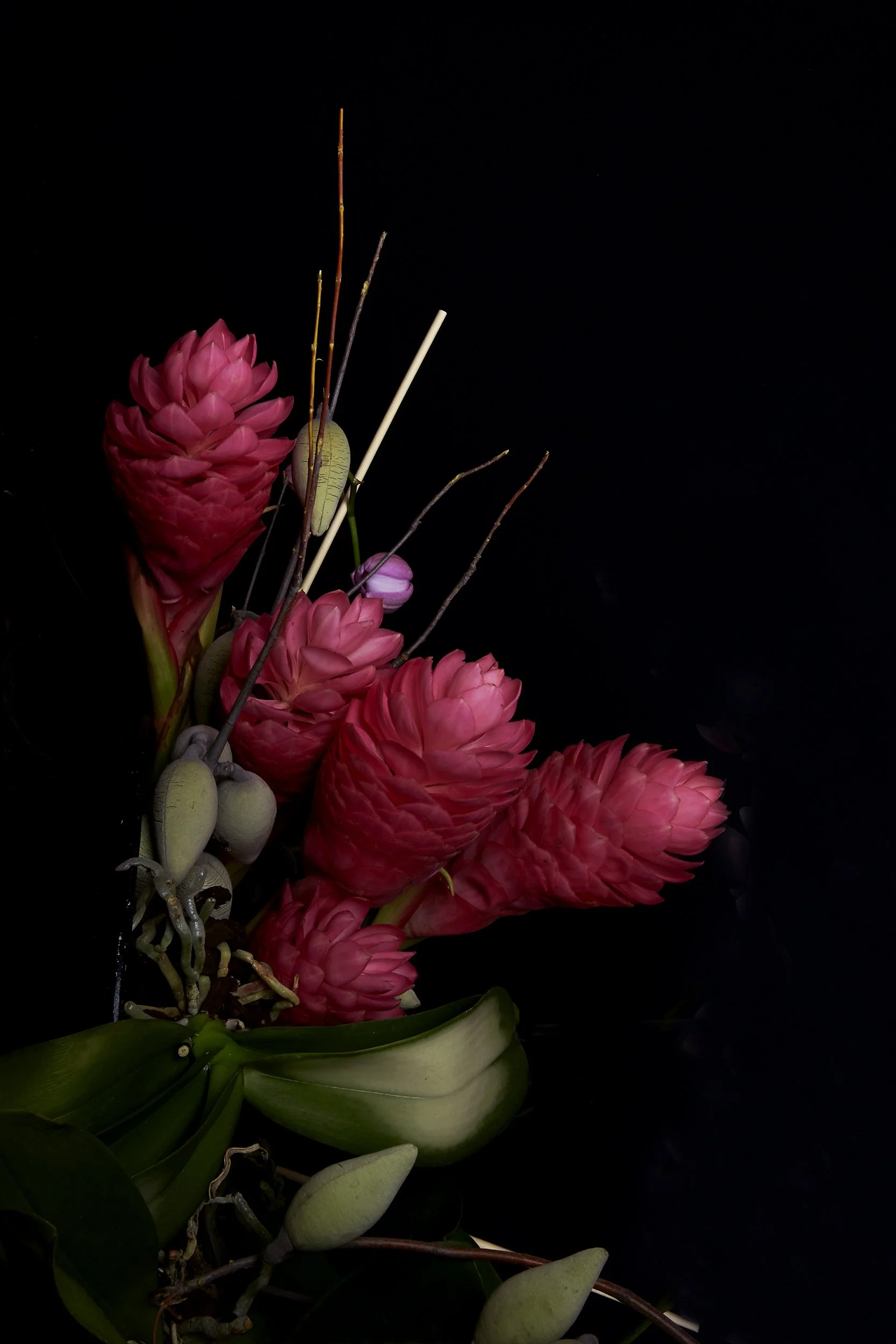 21_DYLAN_DEMARCHI_flowers.jpg