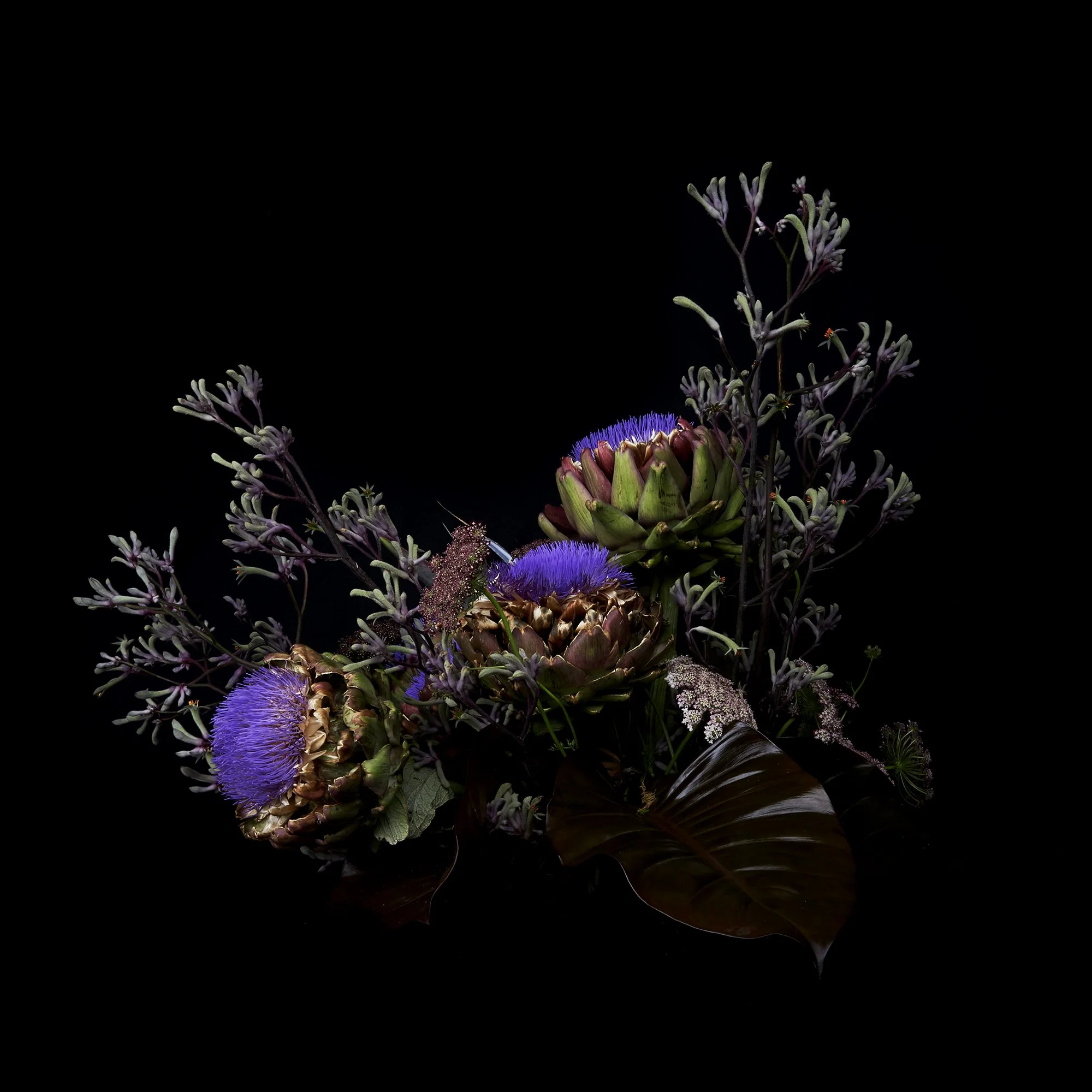 22_DYLAN_DEMARCHI_flowers.jpg