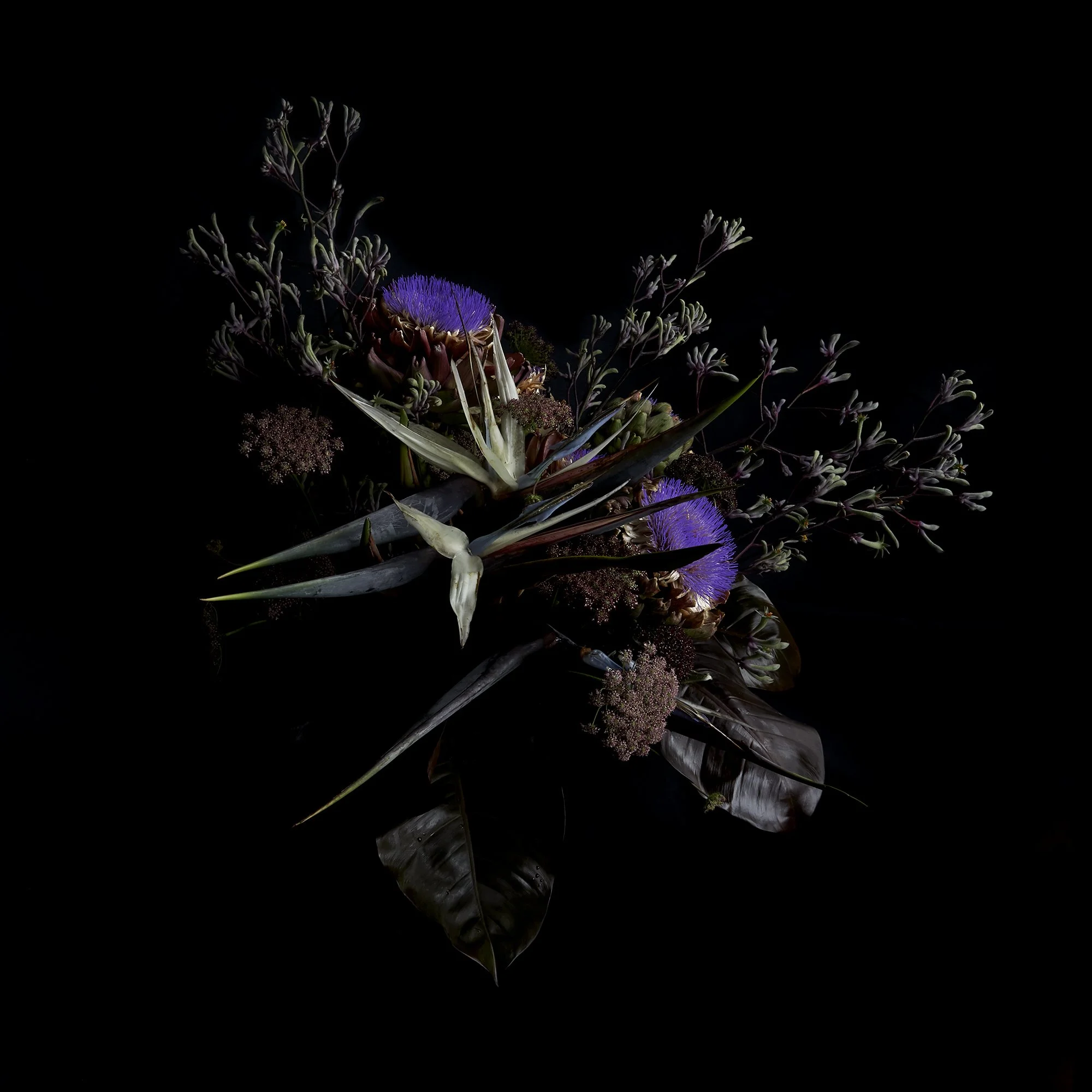 23_DYLAN_DEMARCHI_flowers.jpg