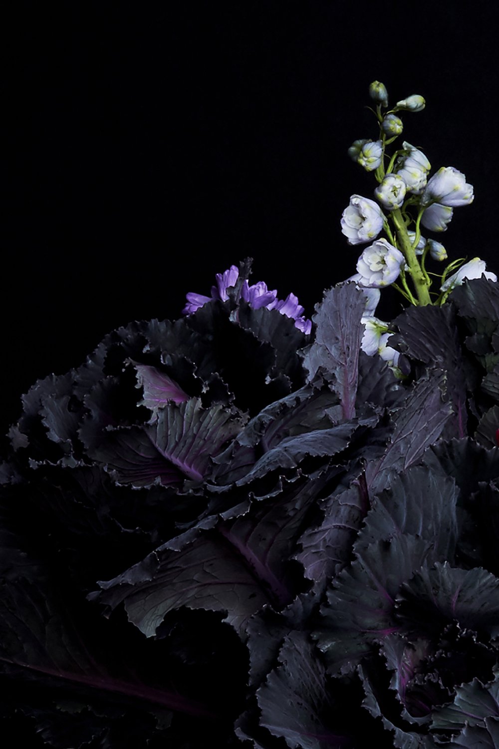 25_DYLAN_DEMARCHI_flowers.jpg
