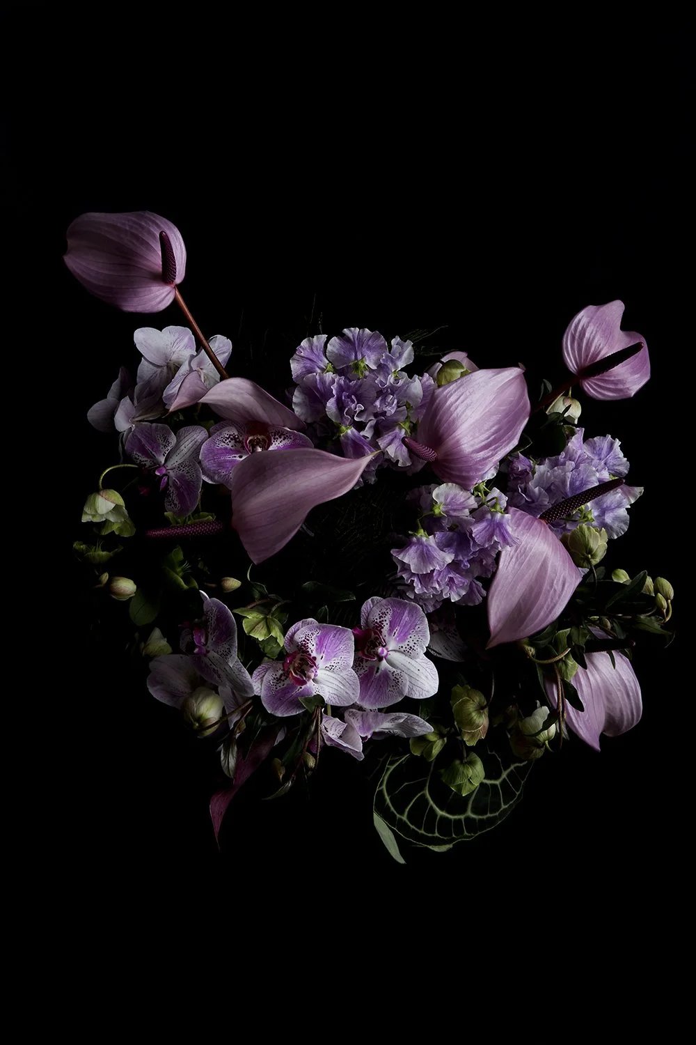 27_DYLAN_DEMARCHI_flowers.jpg