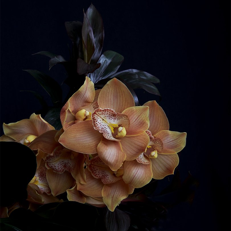 32_DYLAN_DEMARCHI_flowers.jpg