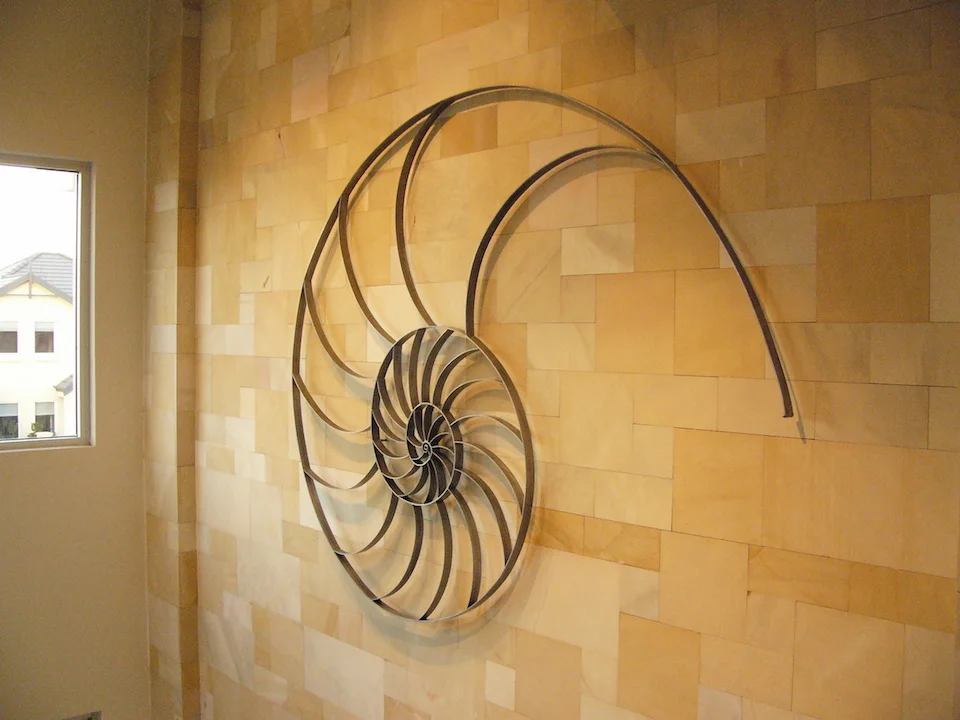 Nautilus Shell