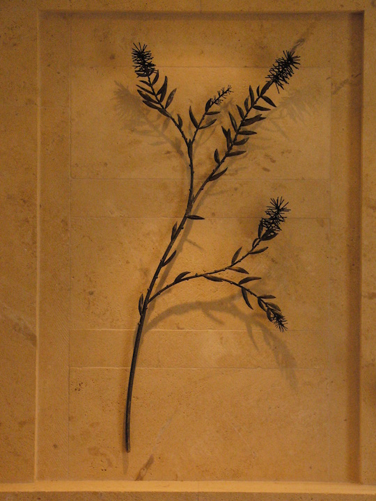 Grevillia