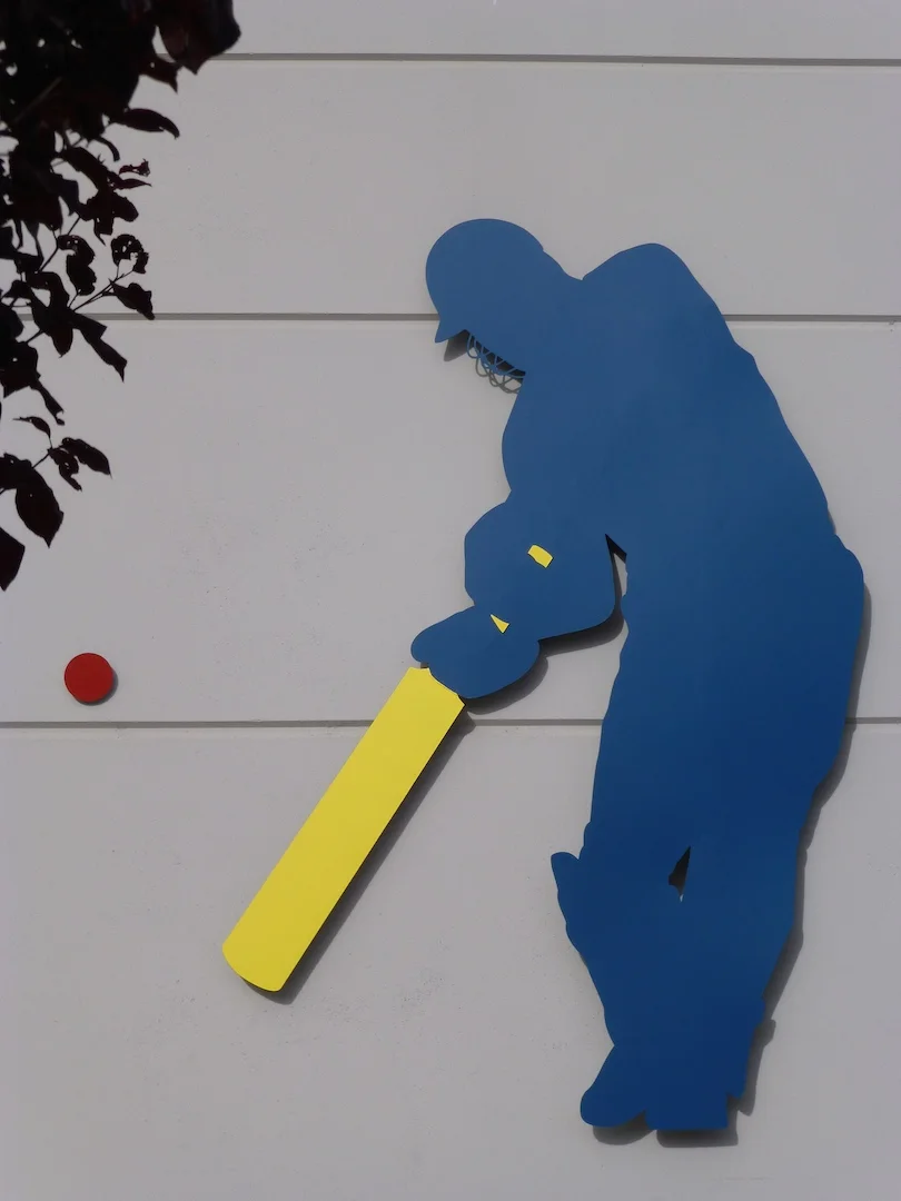 Cricket Player