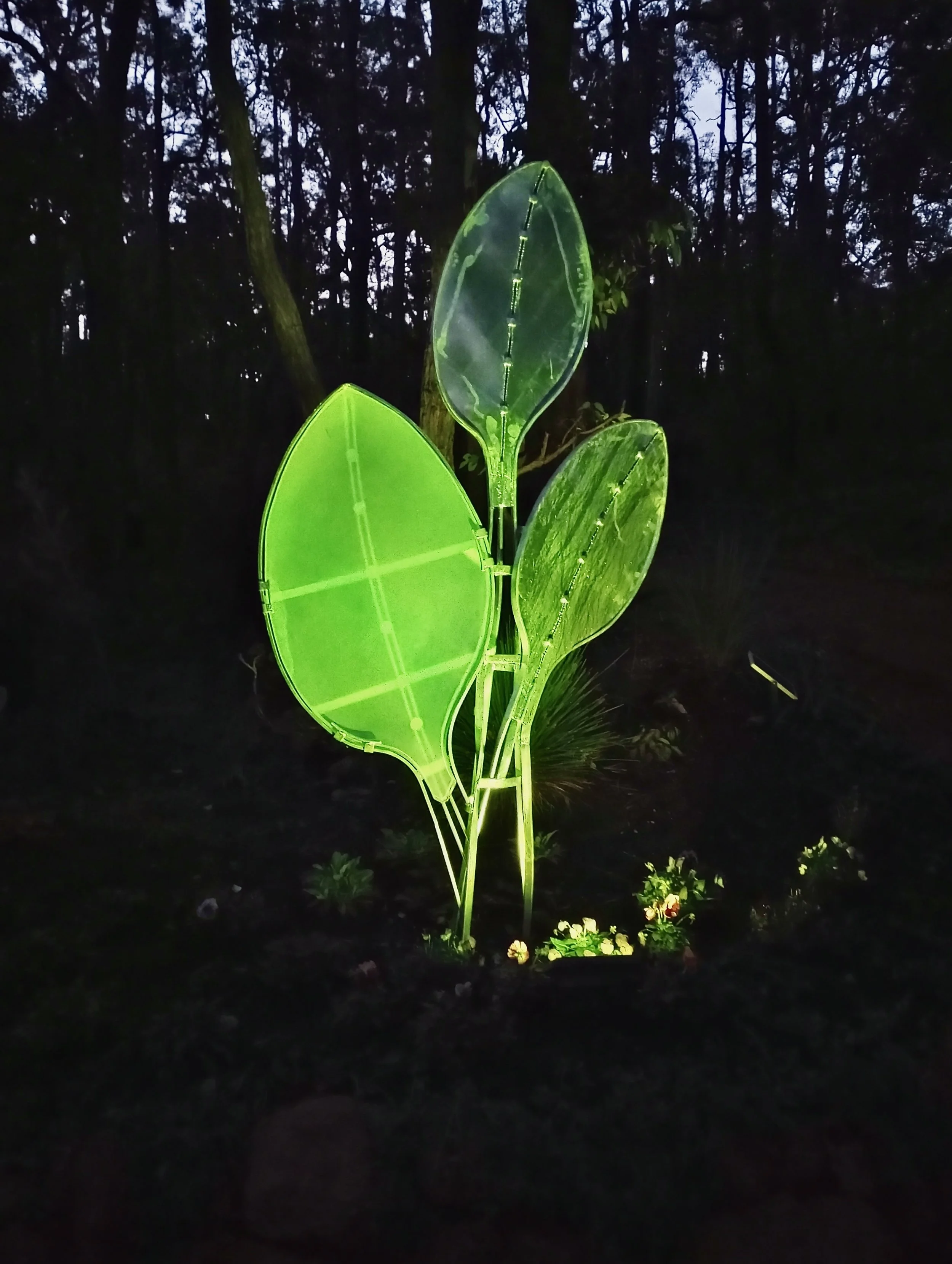 Leaf Sculpture at night