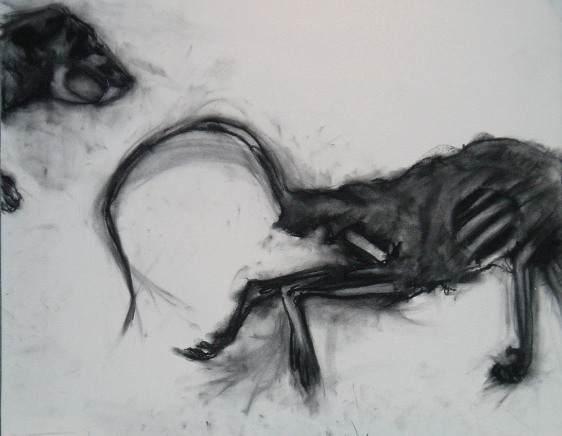 RAT