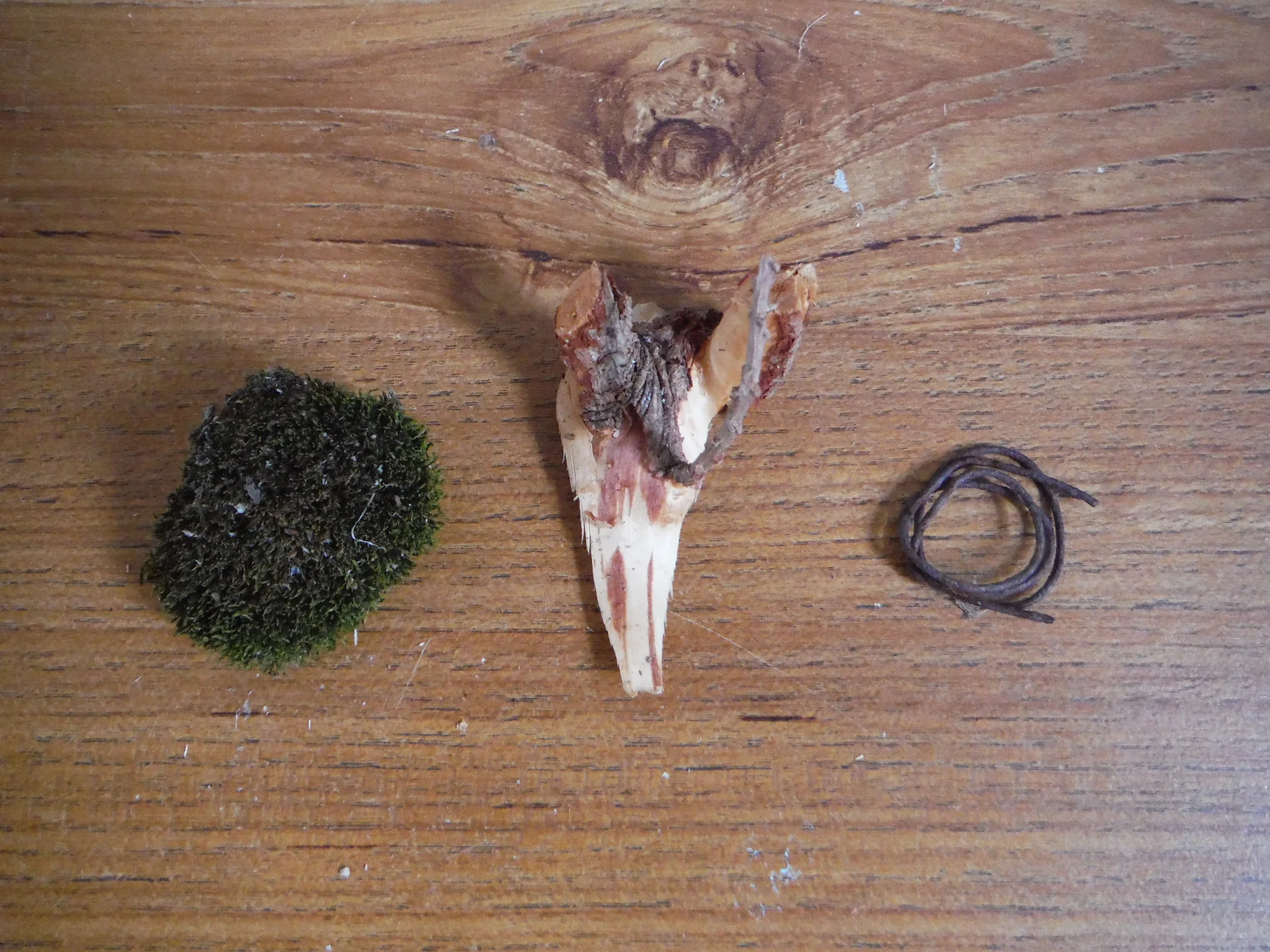 DSCF6411.JPG