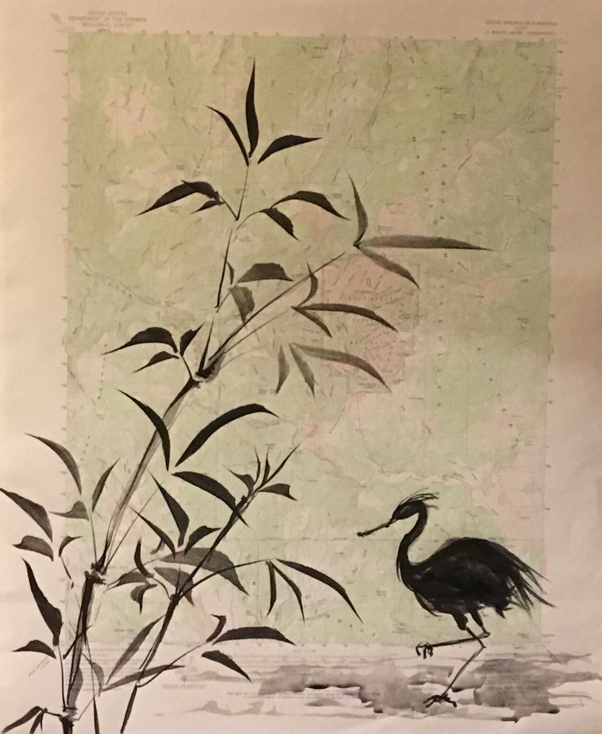 BLACK CRANE