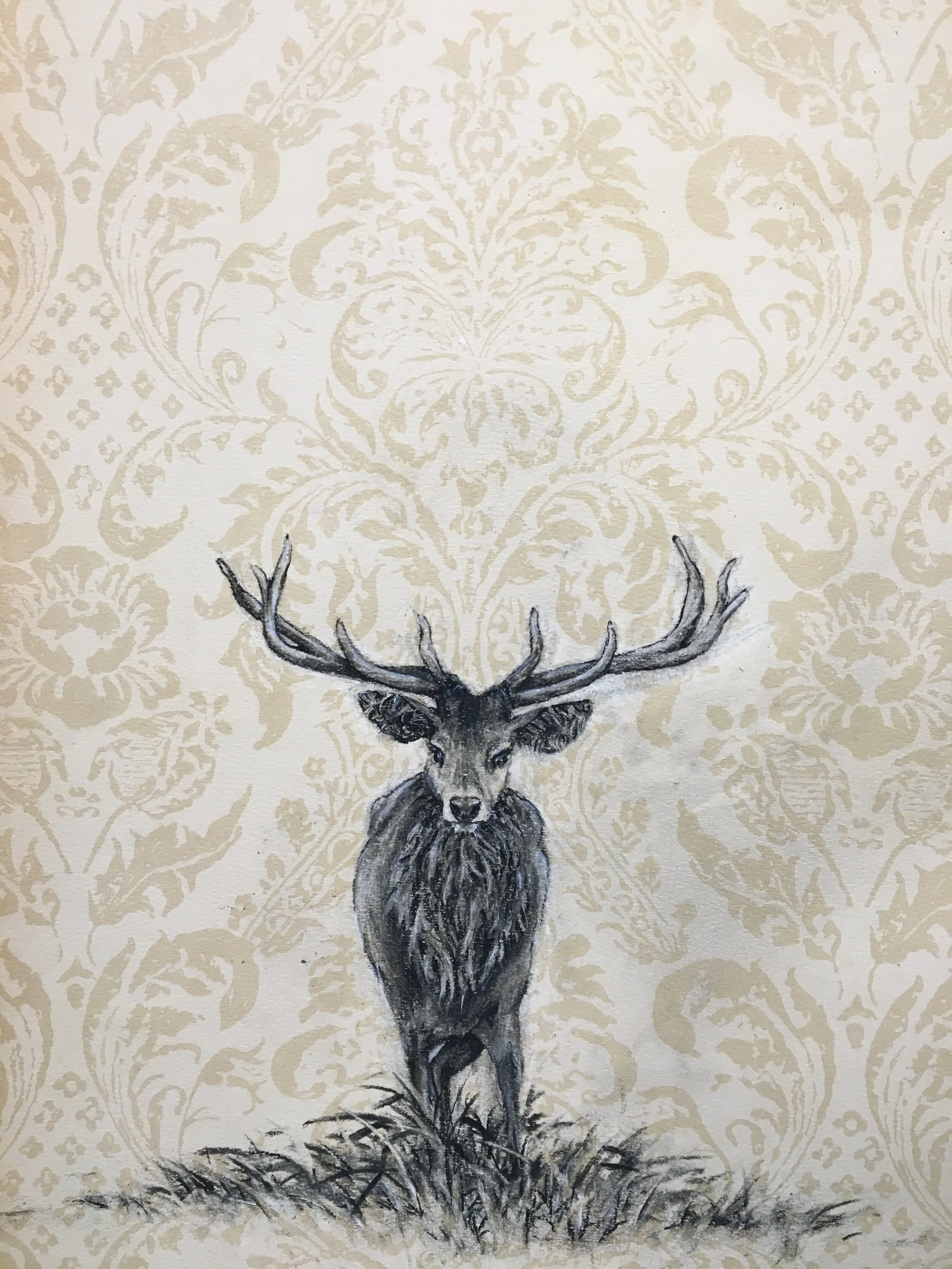 STAG
