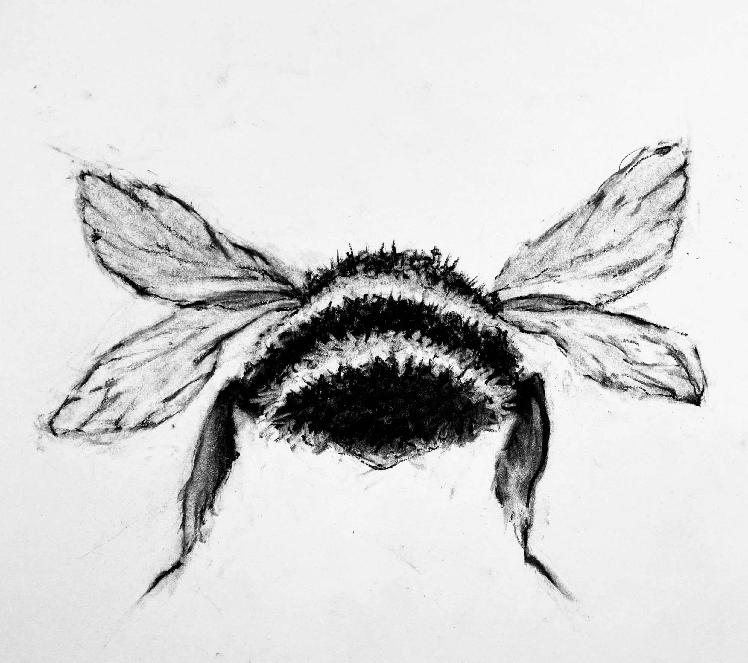 THE BEE