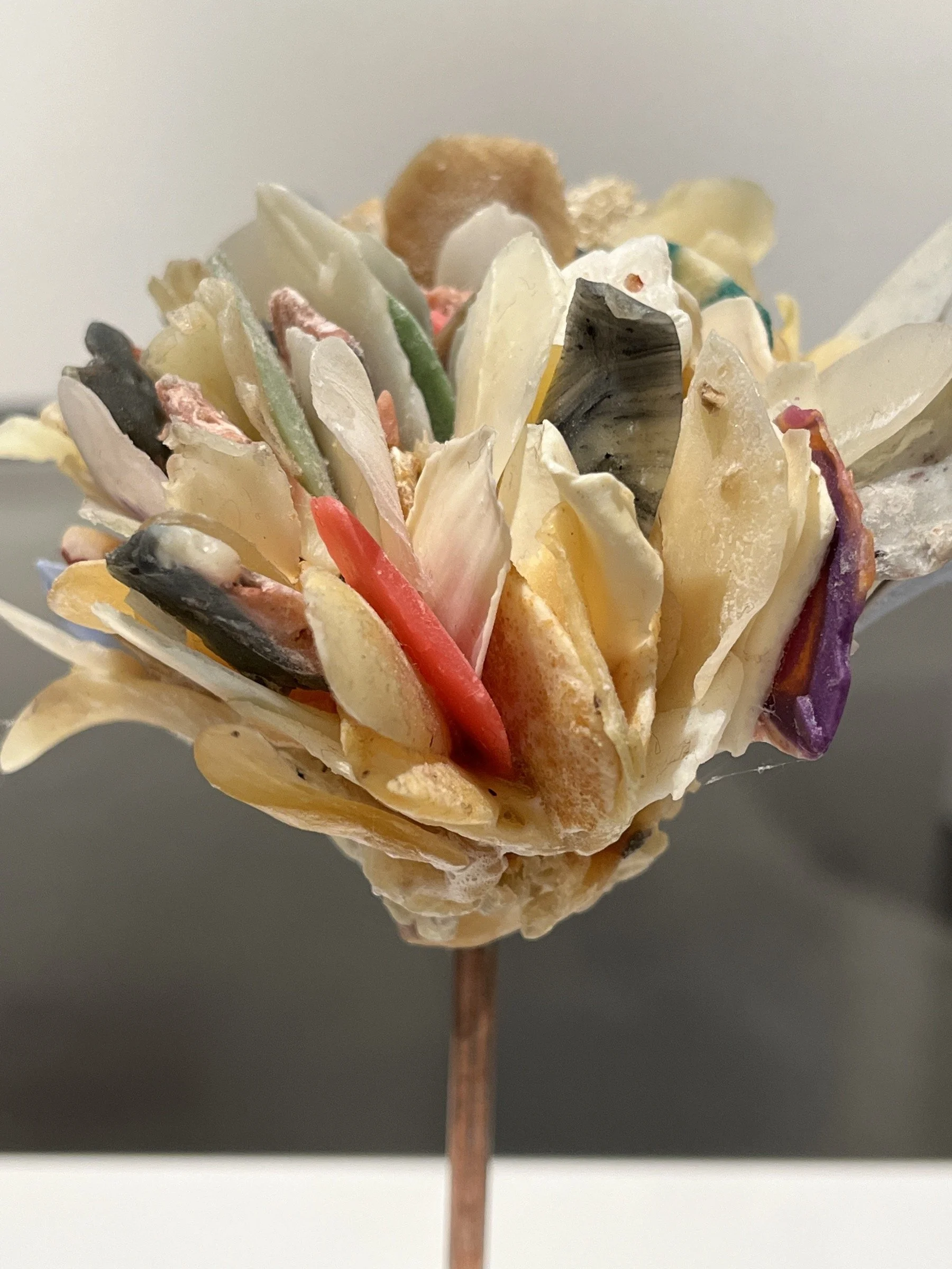 SHOWER PETALS, detail