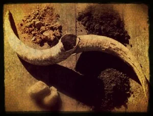 3.11.18 Intro to Biodynamics