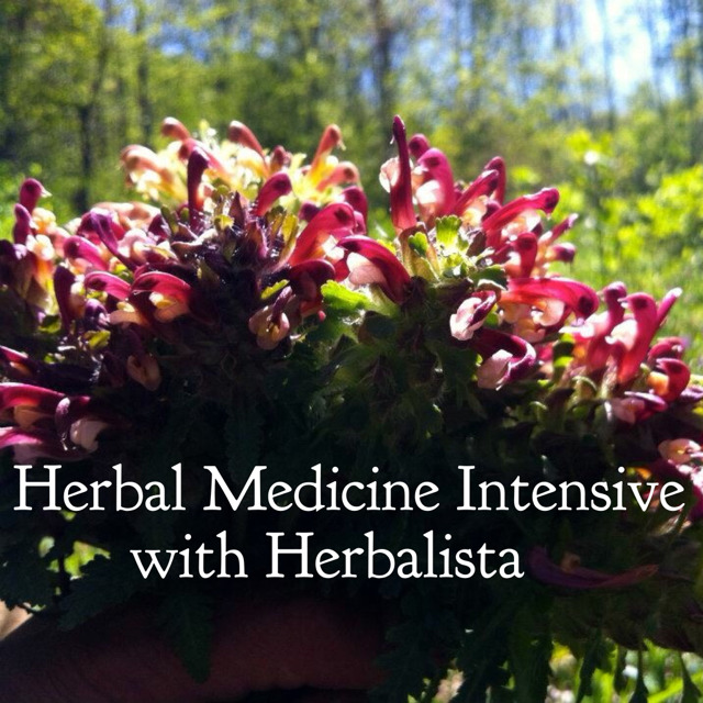 Herbal Medicine Intensive.PNG