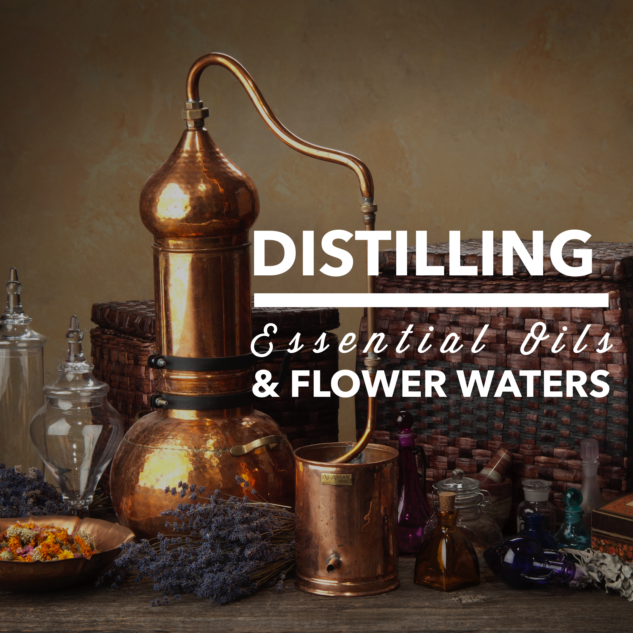 Distilling EOs.png