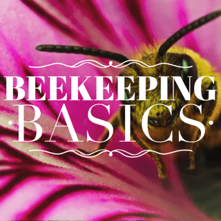 Beekeeping 101.PNG