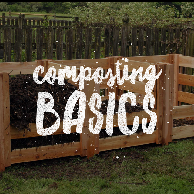 composting basics.png