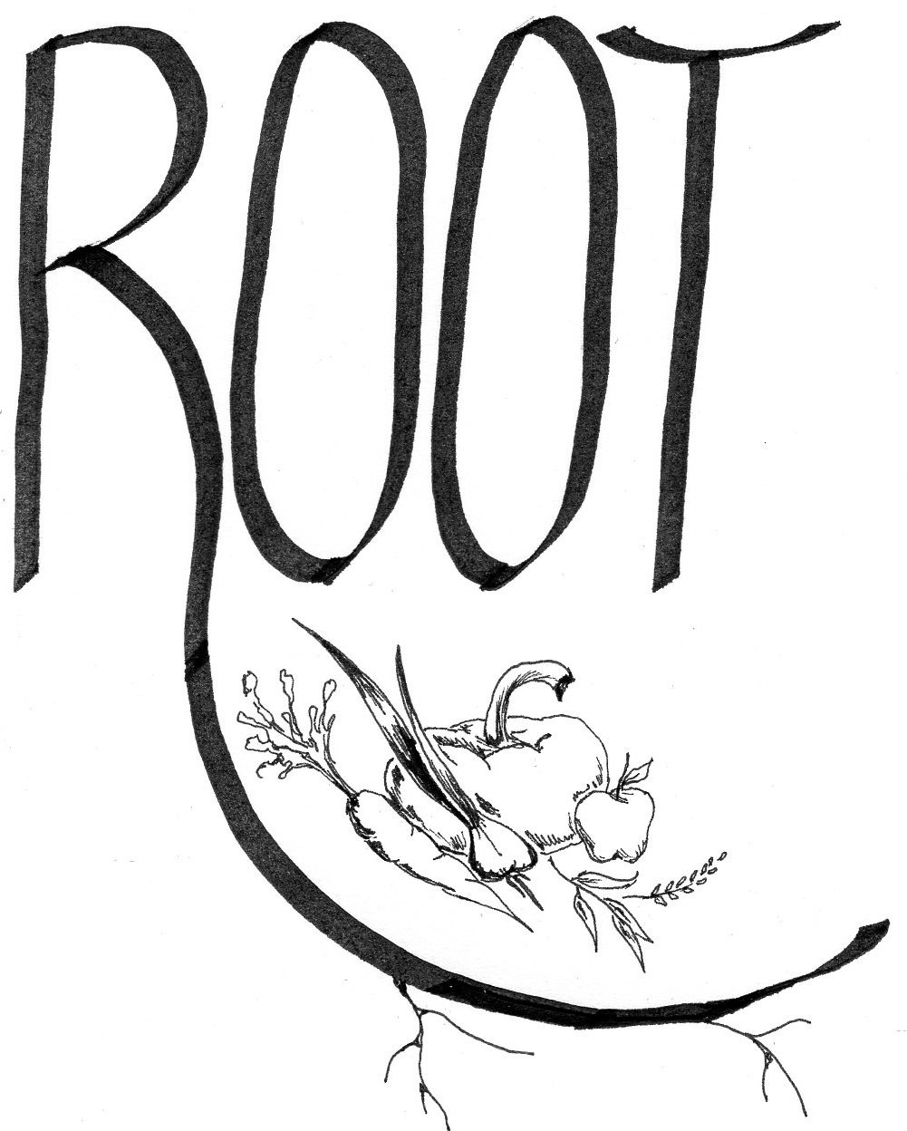 Root scan 1.jpg