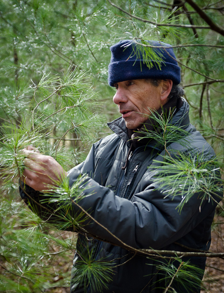 Mark teaching about white pine.jpg