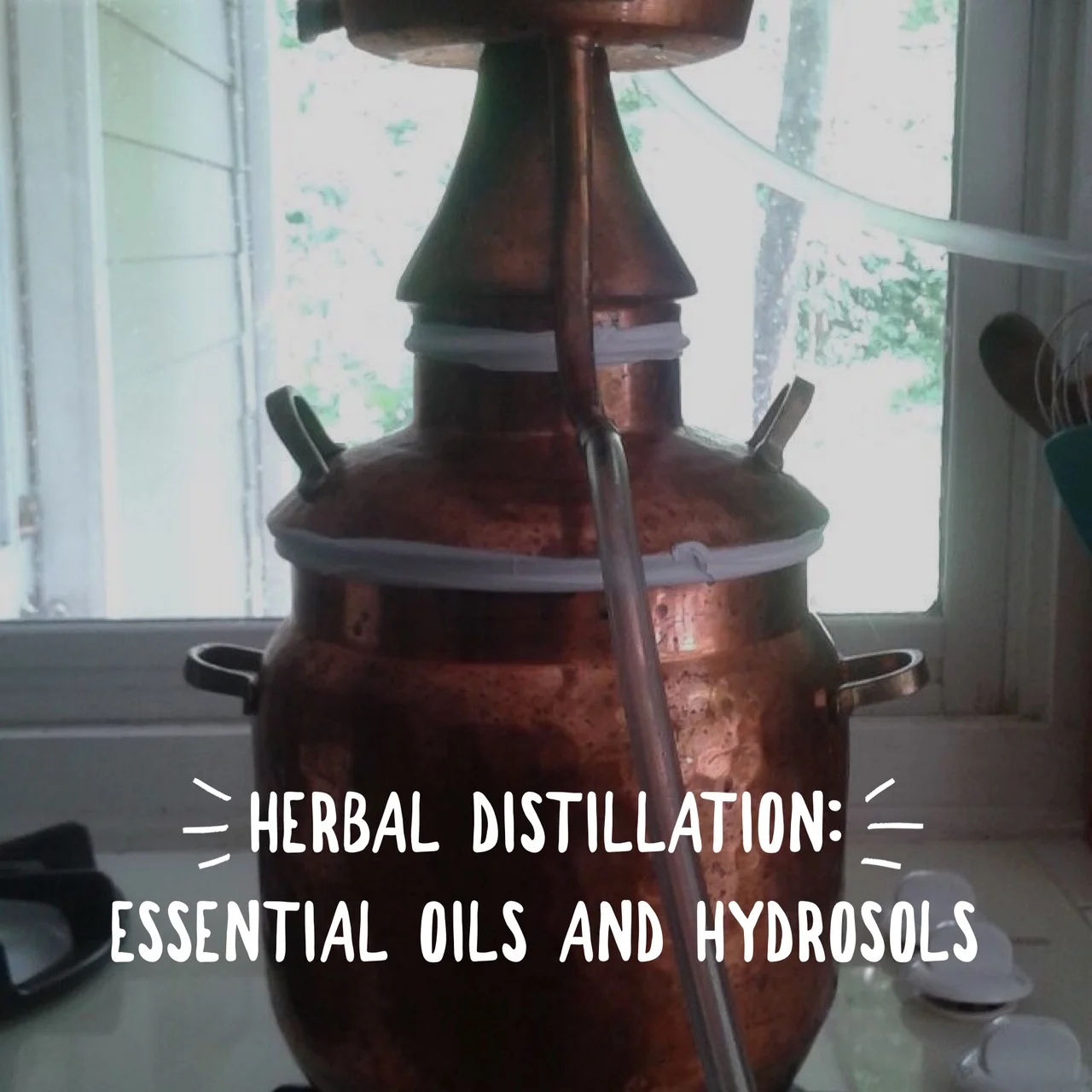 8.27.19 Herbal Distillation: Essential Oils &amp; Hydrosols