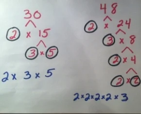 Prime Factorization