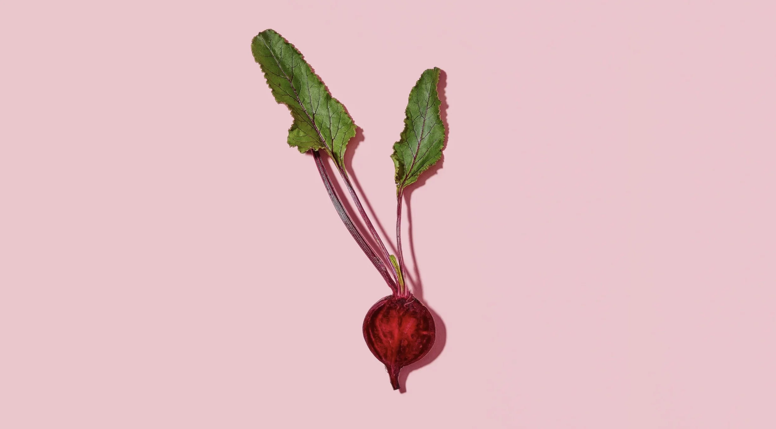 Image 11-20-25 at 8.16 PM (1).jpeg