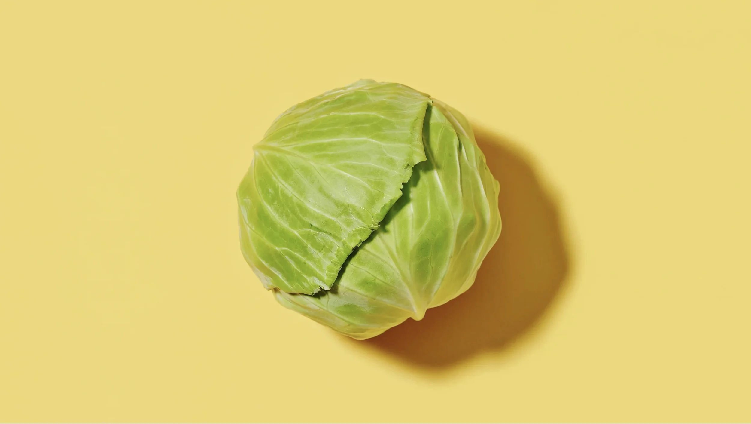 Image 11-20-25 at 8.14 PM.jpeg