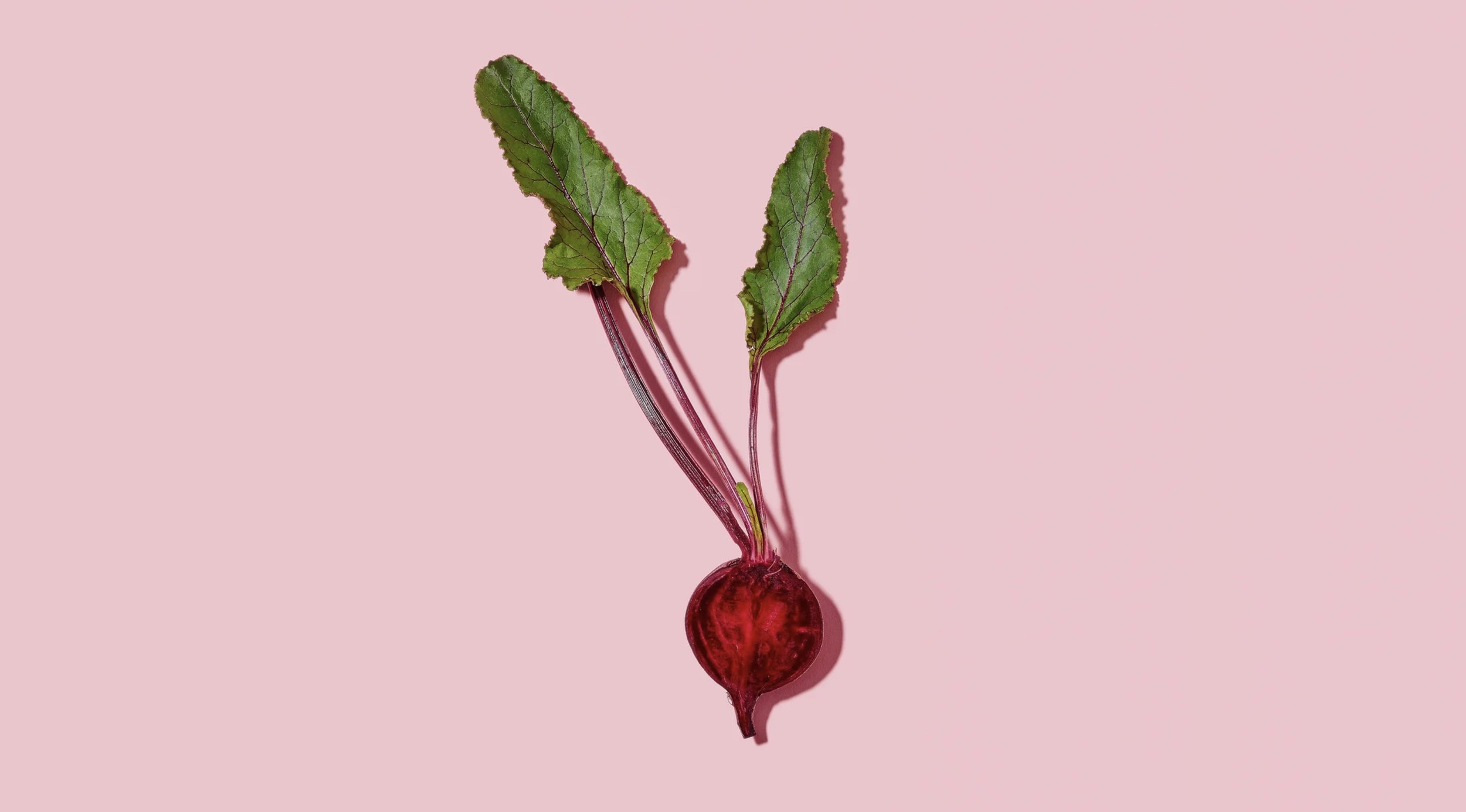 Image 11-20-25 at 8.16 PM (1).jpeg