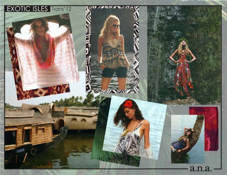trans121 trend coverpage.jpg