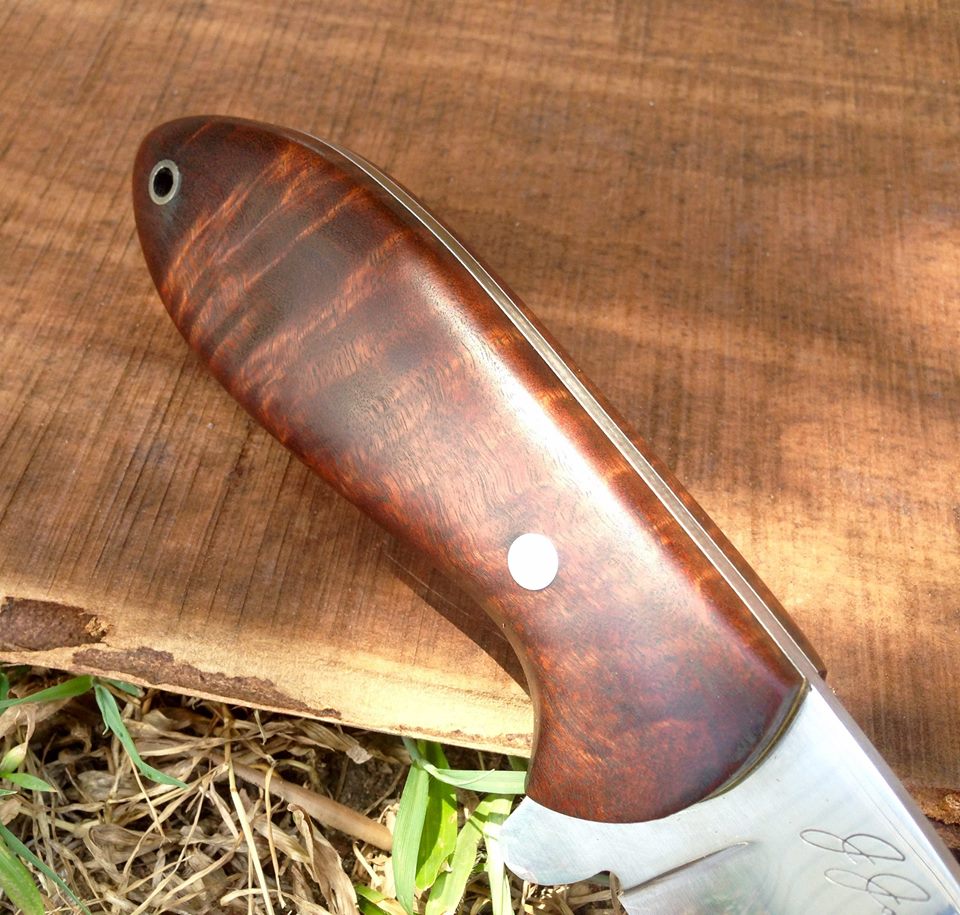 James JohnsonUSA Ringed Gidgee