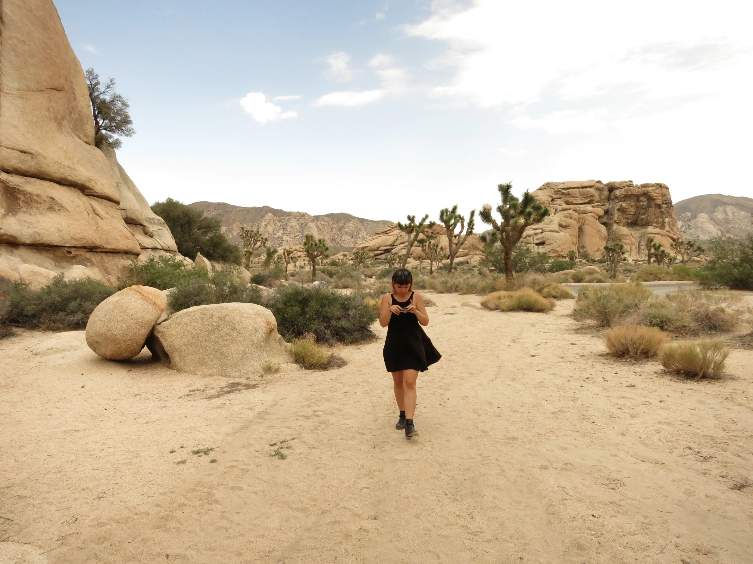 Joshua Tree, California