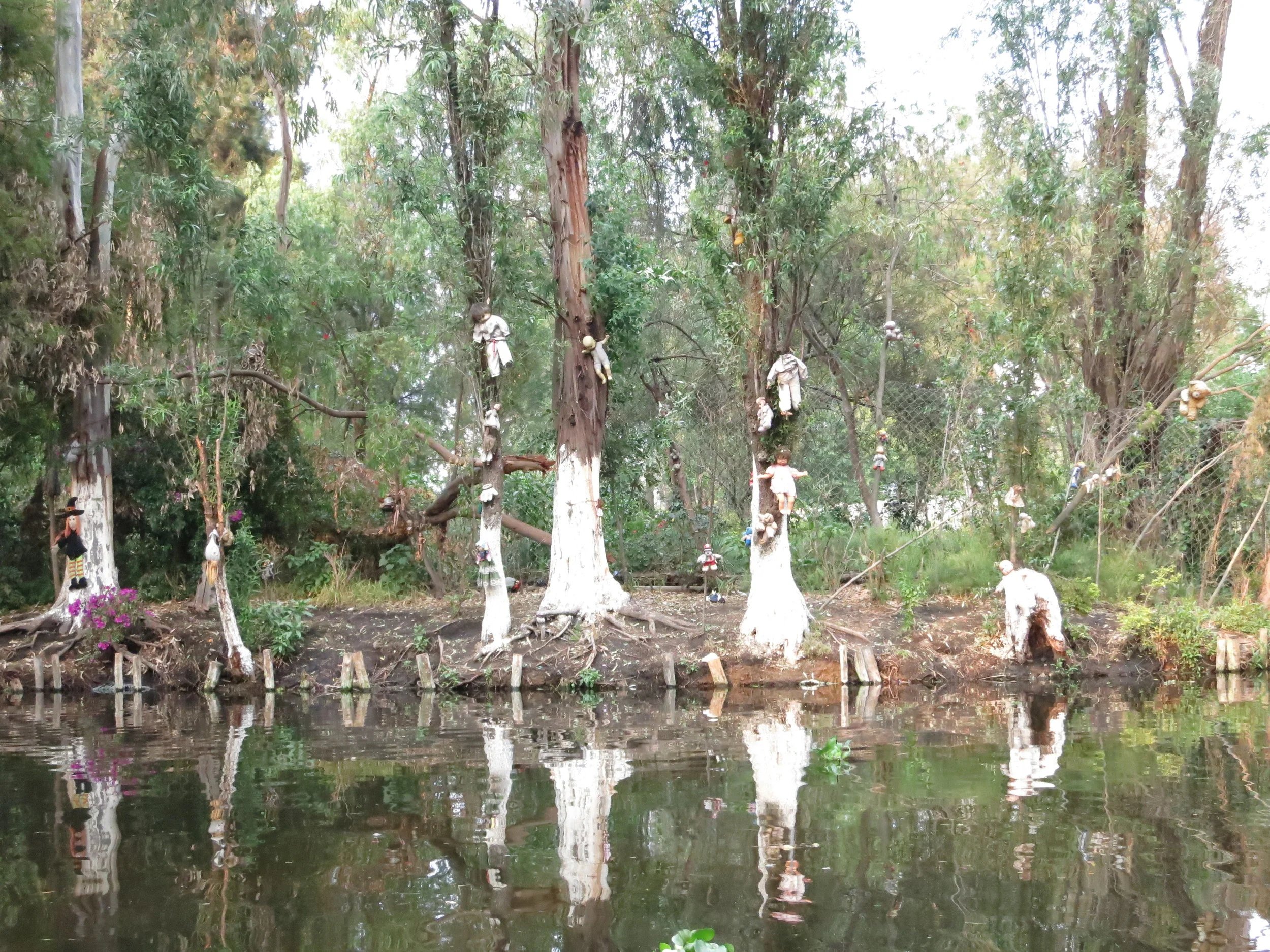 La isla de las muñecas en Xochimilco
