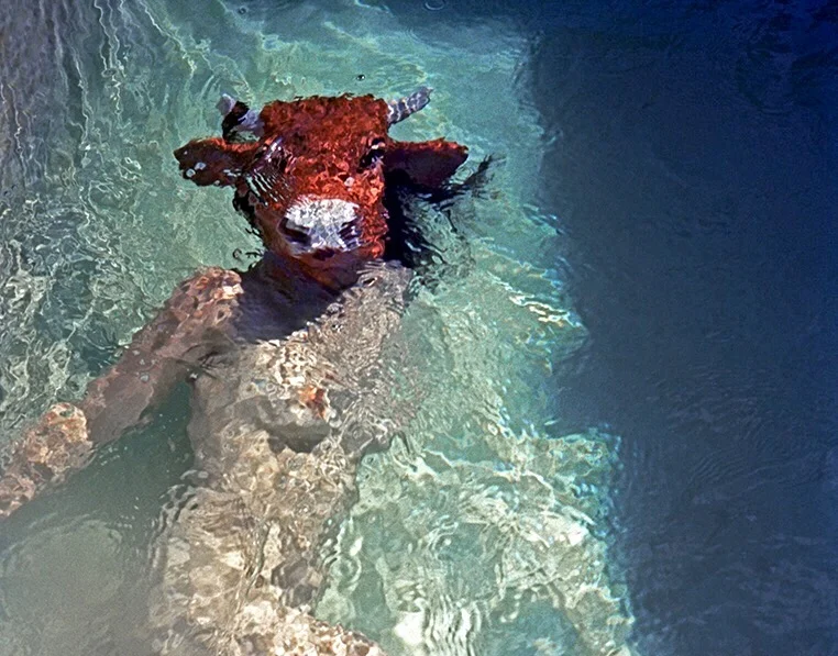 14 fotógrafos puertorriqueños y su foto favorita 