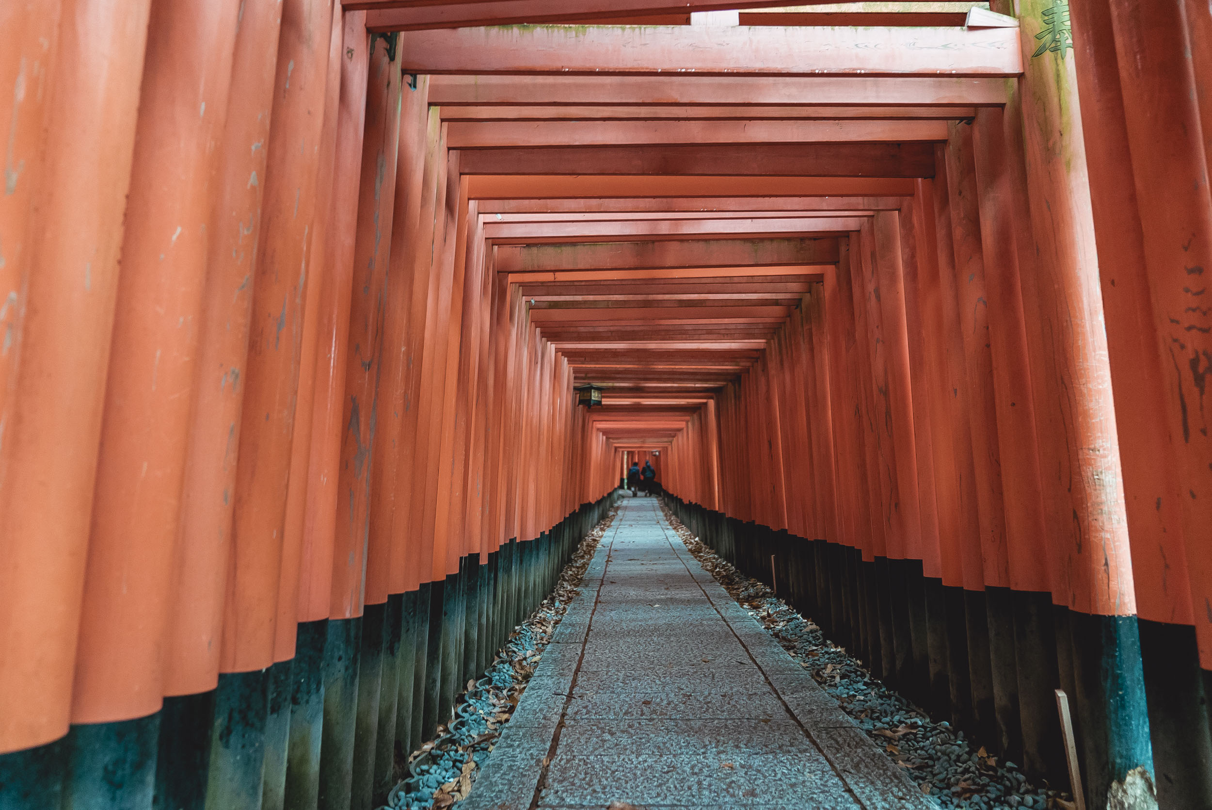 Cómo volé en primera clase a Japón