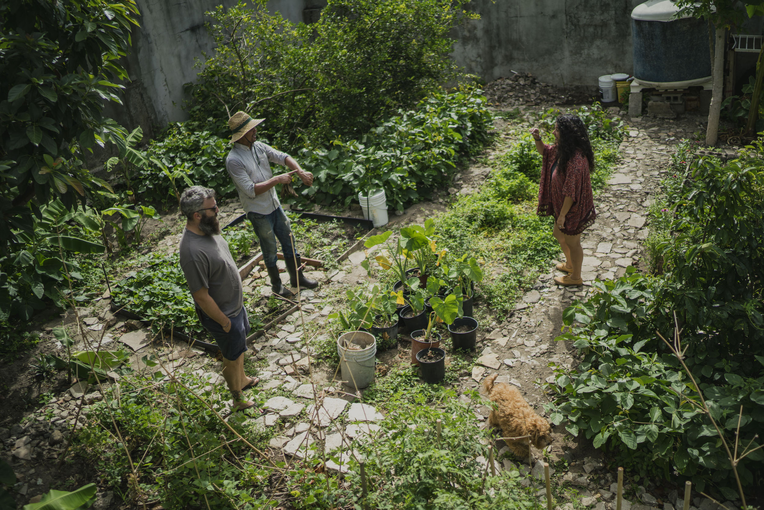 El beneficio real de un huerto urbano no es la comida
