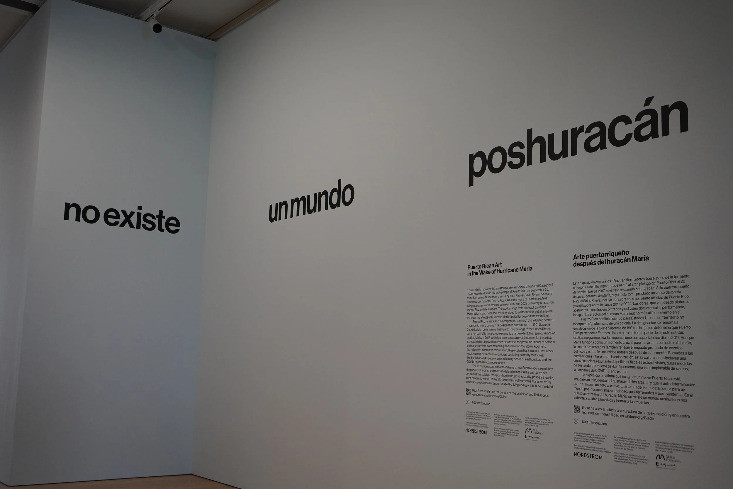 Puerto Rico en la cas… ¡en el Whitney!