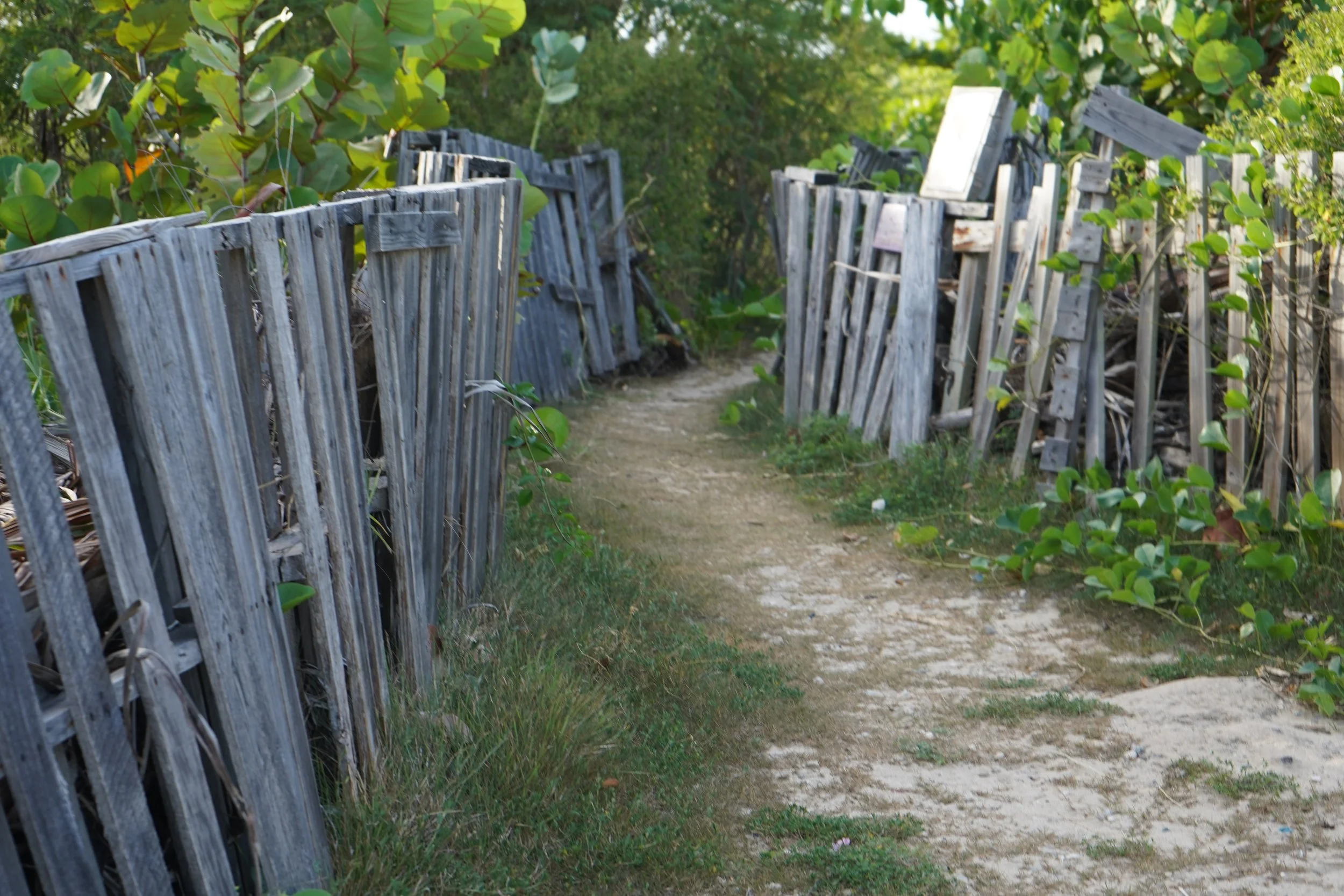 Bajura Isabela_.JPG (Copy)