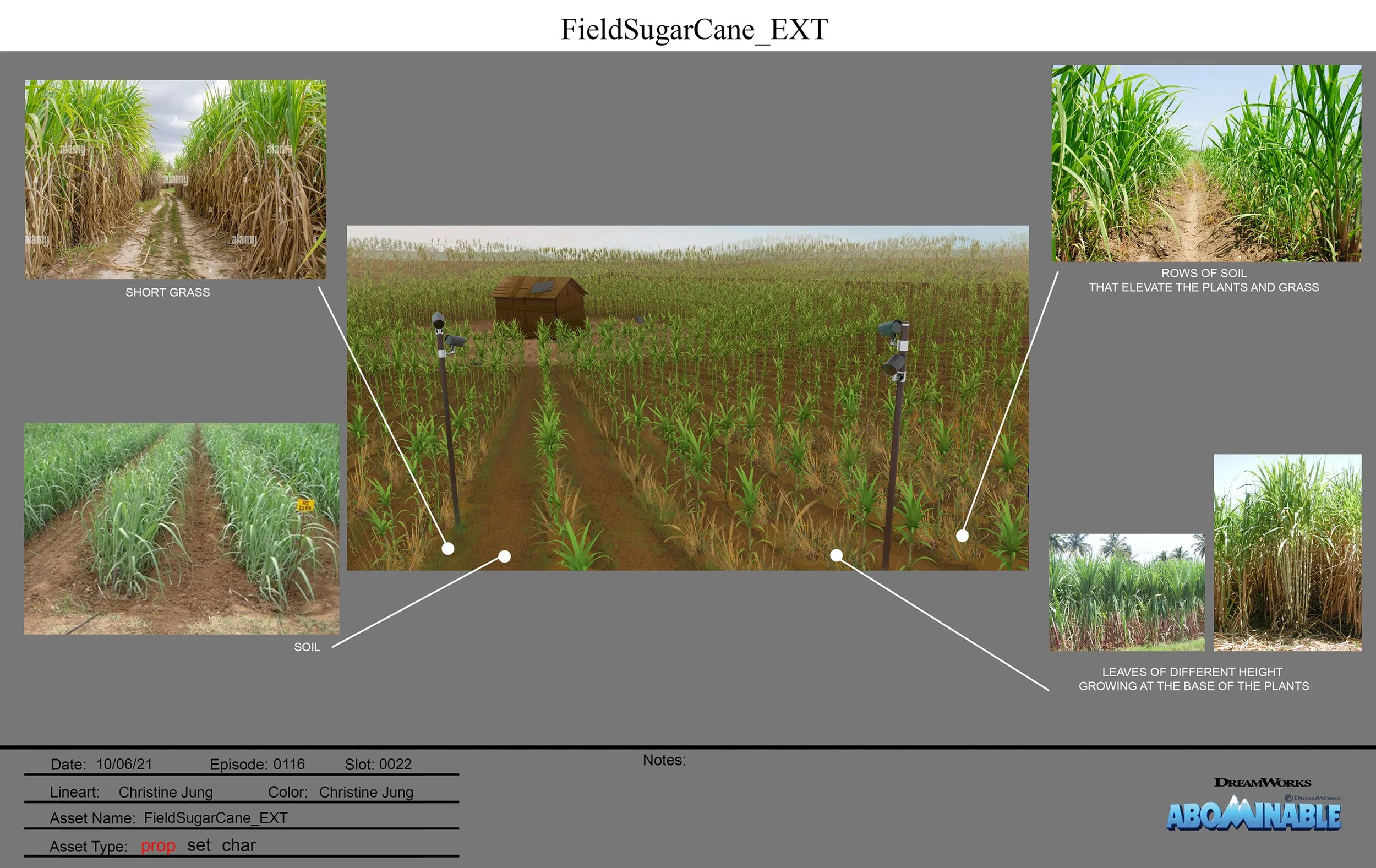 ABN_FieldSugarCane_EXT_TXS_v01_01_CJ.jpg